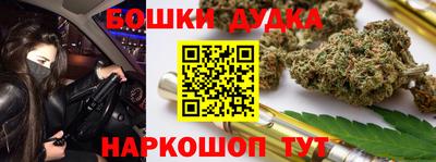 сатива Гатчина