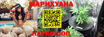 сатива Гатчина
