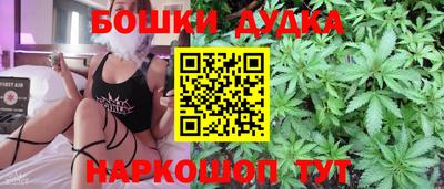 сатива Гатчина
