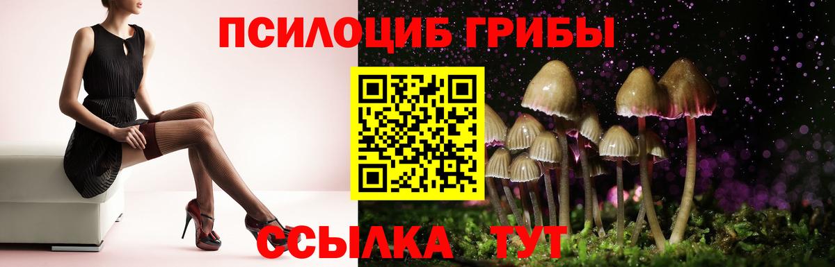 Галлюциногенные грибы мицелий  Галлюциногенные грибы ЛСД  Грозный  Вход с VPN 